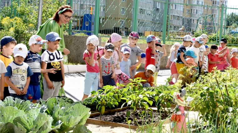 Здоровое лето: в детских садах столицы республики проводятся познавательные мероприятия
