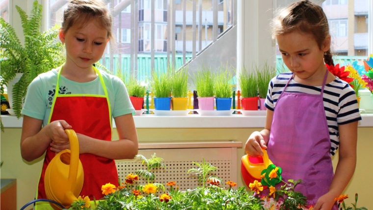 «Огород на подоконнике»: воспитанники чебоксарских детских садов присоединились к экологическим мероприятиям