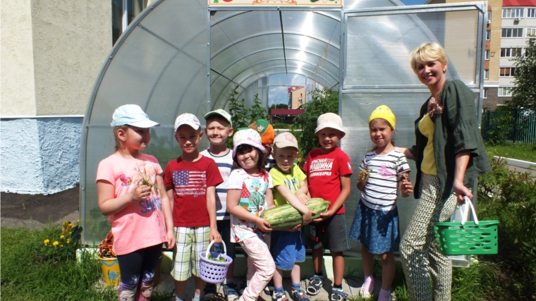 Детские сады города Чебоксары реализуют природоохранный социально-образовательный проект «Эколята-дошколята»