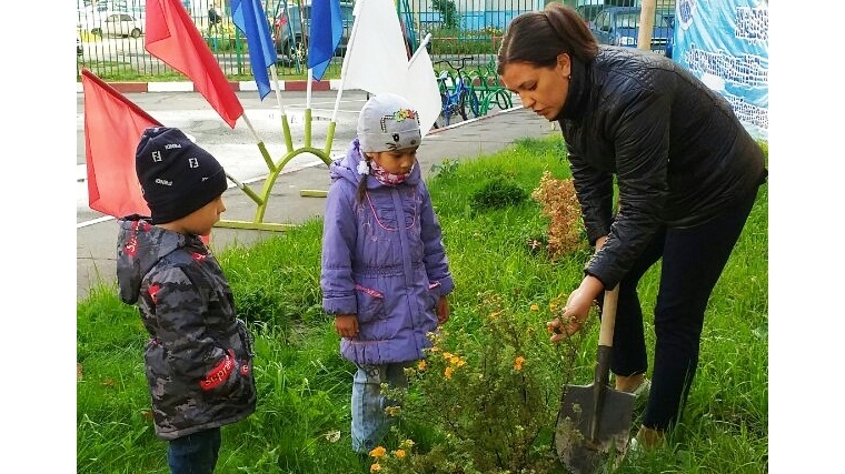 Дошкольные образовательные организации участвуют в экологической акции «Чебоксары – зеленая столица»