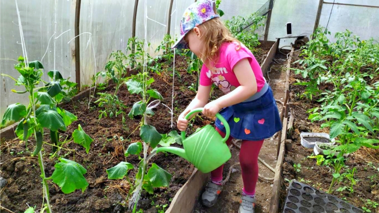 Детские сады города Чебоксары присоединились к проведению Дня экологического образования