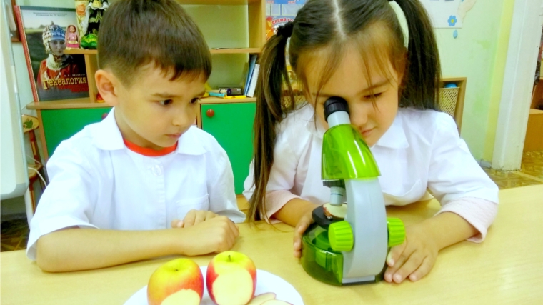 Развитие детской проектной деятельности в дошкольных учреждениях города Чебоксары